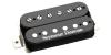 PASTILLA SD BRAZO HB DUNCAN DISTORTION