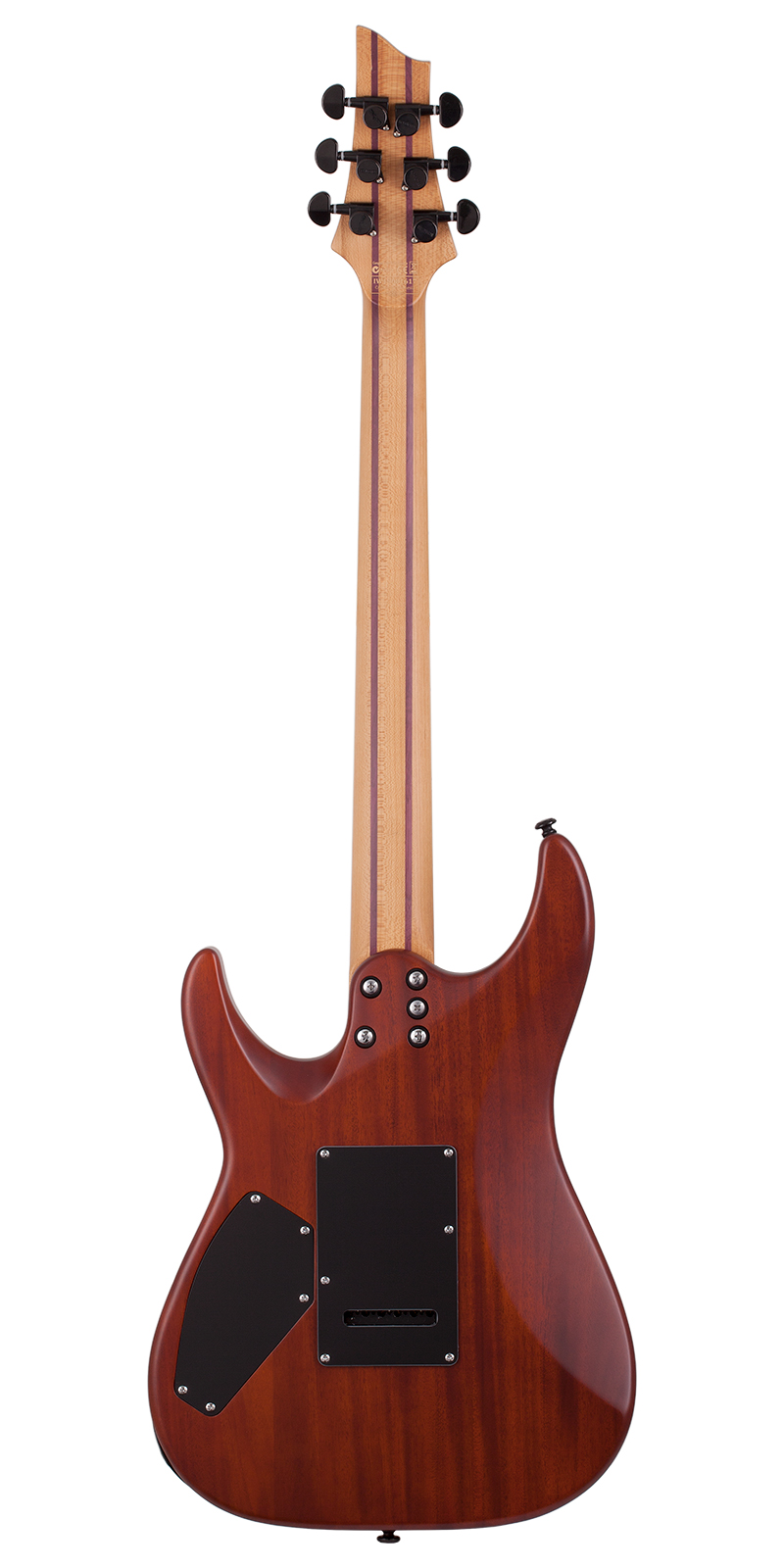 GUITARRA SCHECTER ELECT. C-1 EXOTIC SM - Image 14