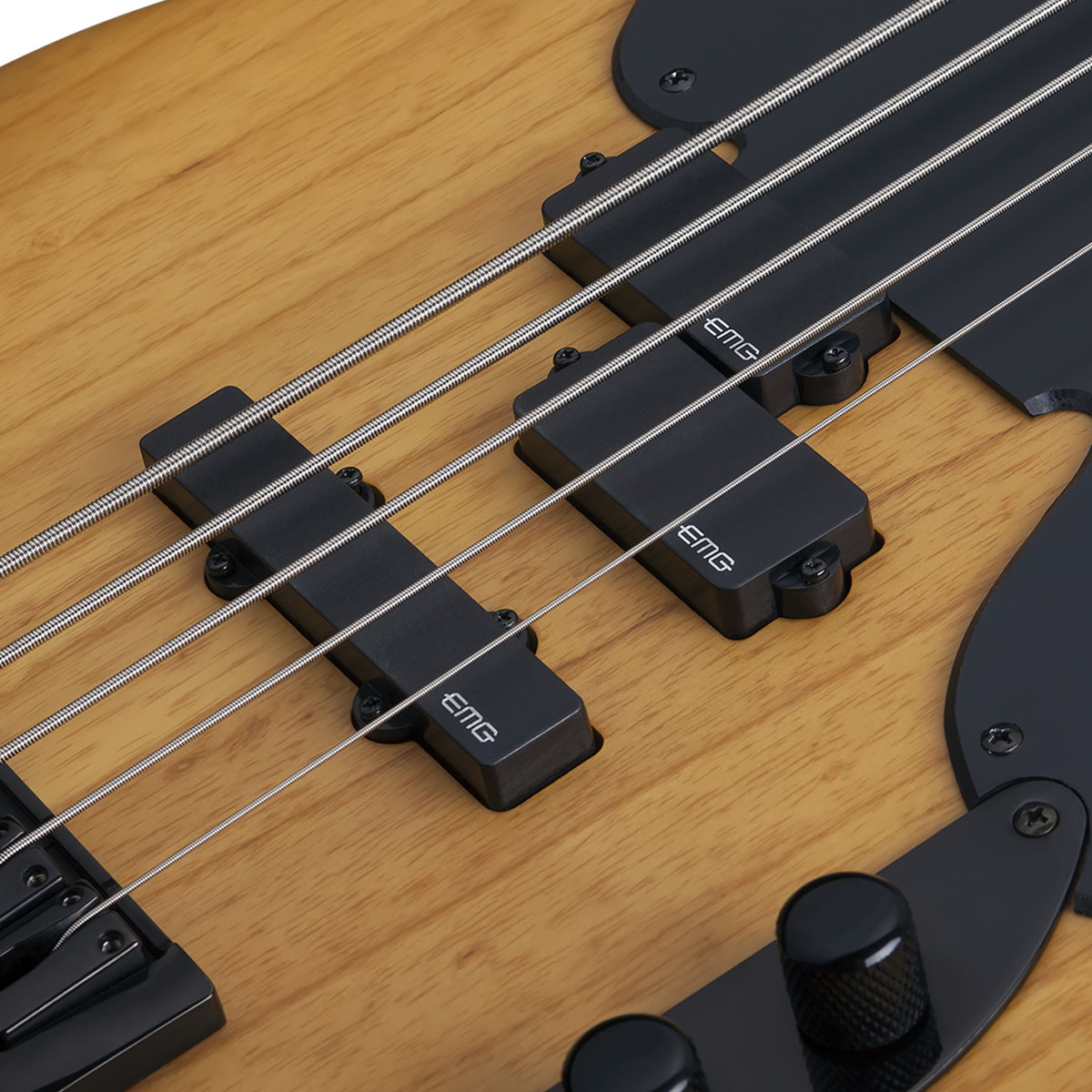 BAJO SCHECTER ELECT. MODEL-T SESSION 5 - Image 4