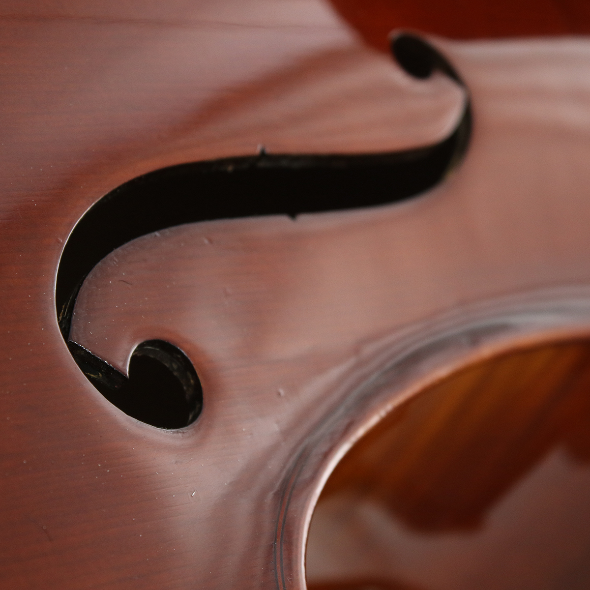 VIOLONCHELO LA SEVILLANA MOD. LSCEF-44 - Image 4
