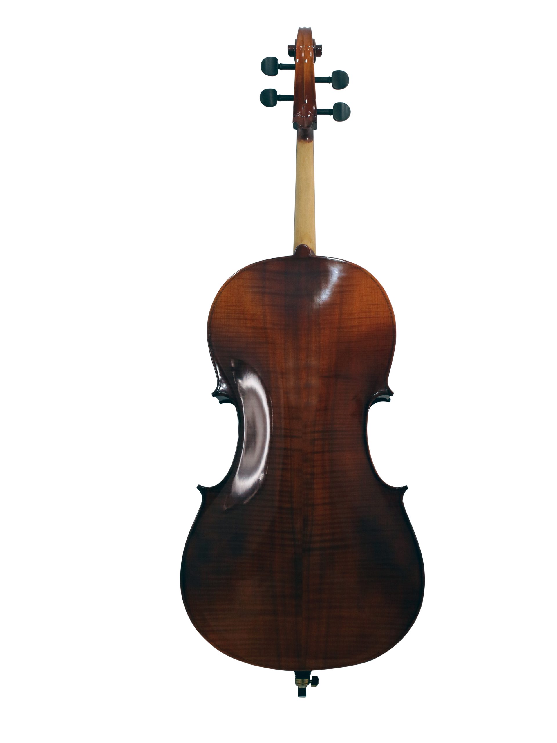 VIOLONCHELO LA SEVILLANA MOD. LSCEF-44 - Image 8